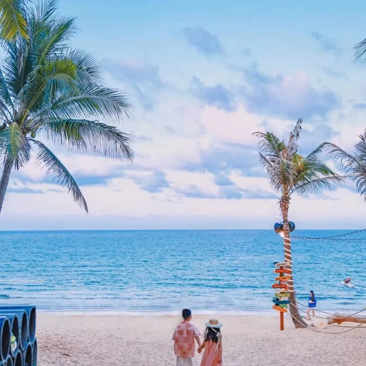 重磅！海南离岛免税新政指南&独家省钱秘笈！海南买买买的省钱实用干货，快来收藏！