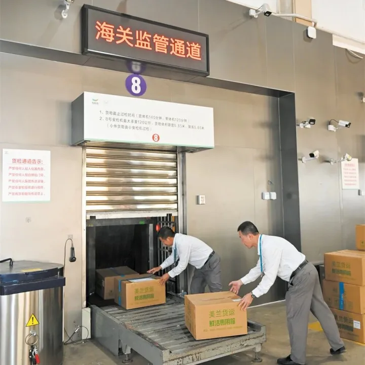 纸质单合成电子单 5分钟顺畅通关！海口美兰国际机场二线口岸开展合成演练