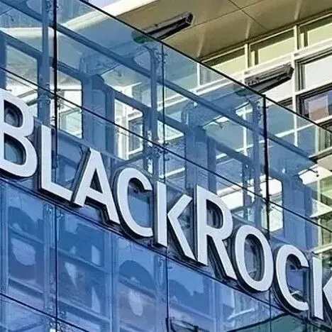 贝莱德集团CEO：美国在数字化经济方面落后于印度和巴西