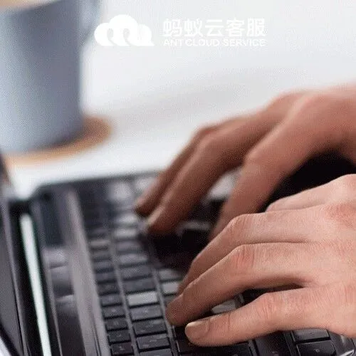 支付宝国际业务，居家<em>客服</em><em>官方</em>招募，自主报名