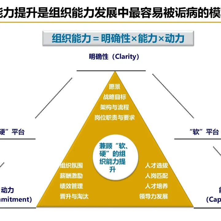 人才盘点项目案例分享：体现战略支持的人才管理