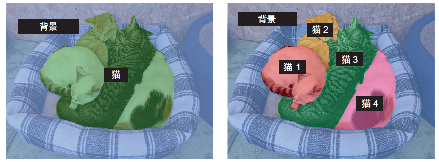 语义分割与实例分割对比
