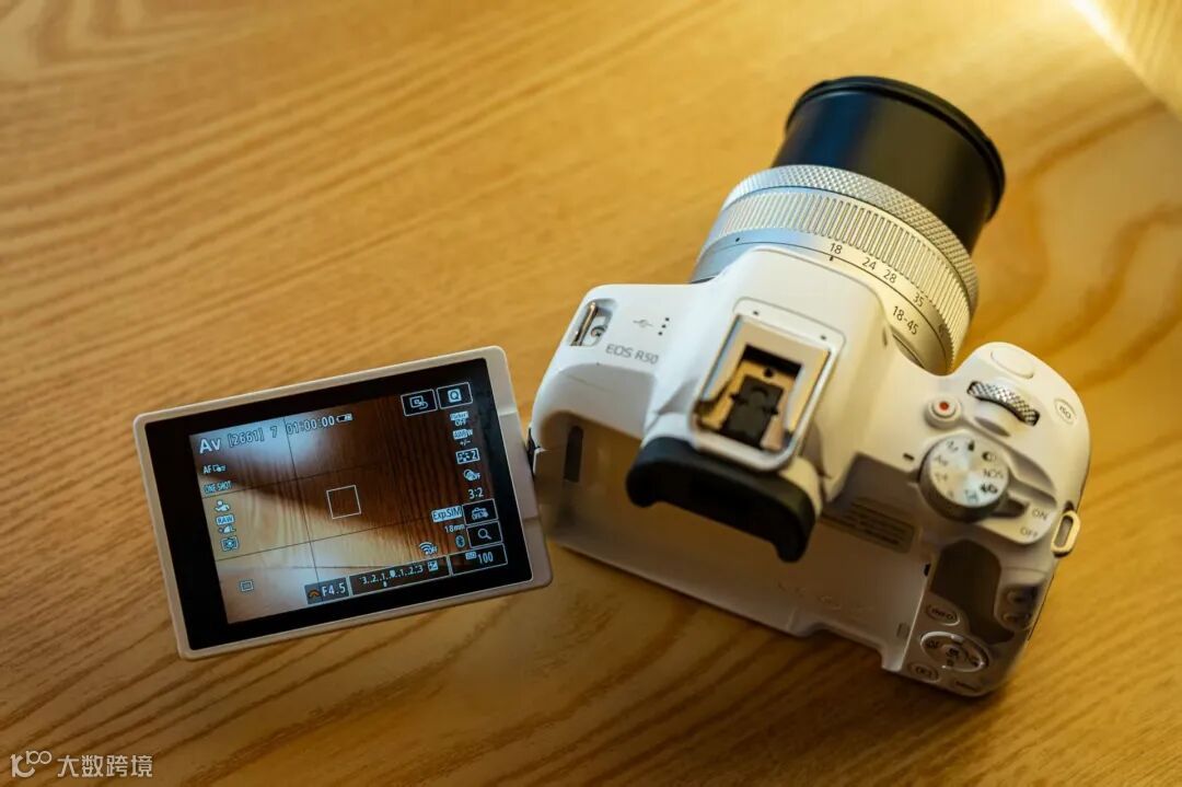 兼顾轻便与性能 佳能EOS R50拍摄体验