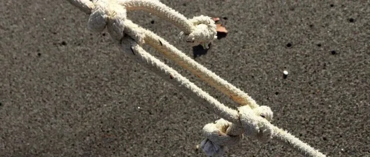 浙江大学，打结，发了篇Nature！