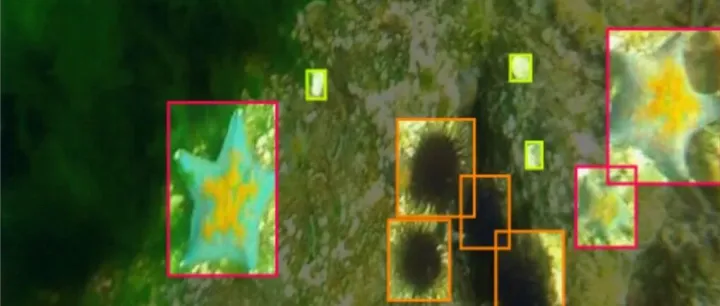 智慧<em>检测</em>之水下物体<em>检测</em><em>数据</em>集 海胆<em>检测</em> 水草识别<em>数据</em>集 海洋生物<em>数据</em>集 yolo<em>数据</em>集