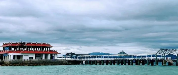 香港公司成立后，谁会收到(BIR60)个别人士报税表 ？如何填写申报？