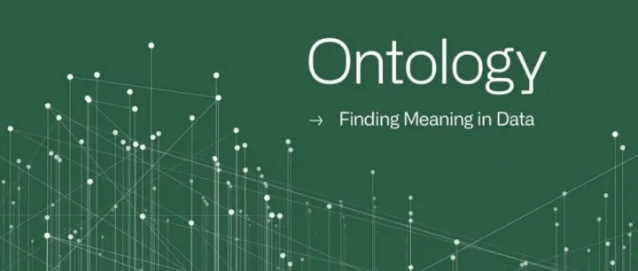 本体论：从数据中发现意义