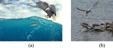 25年新算法!基于猛禽的优化算法（BPBO）：一种元启发式优化算法，附完整免费MATLAB代码