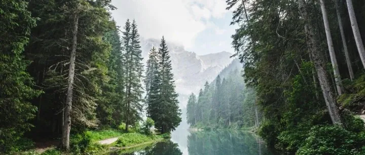 2025 EcoVadis评分骤降 ？详解EcoVadis分数“表现通胀”和企业应对策略