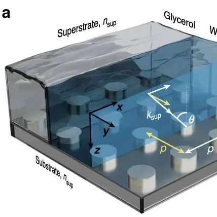 介电超表面中集体光学共振的强耦合现象