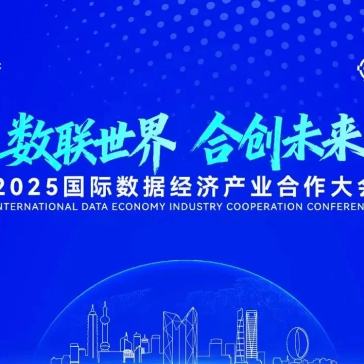 倒计时2天！2025国际数据经济产业合作大会即将举办，来看分论坛亮点→