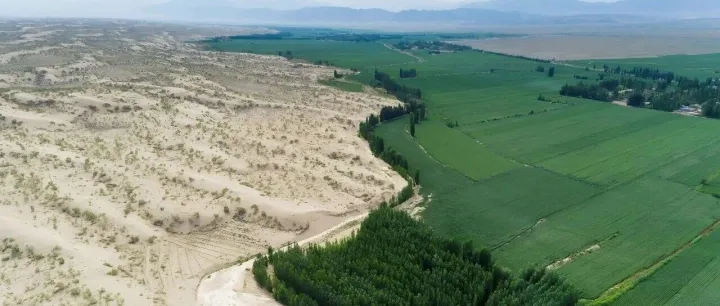 稳健集团2025年前三季度扣非净利润增长43.93%  全棉时代贡献40亿元营收