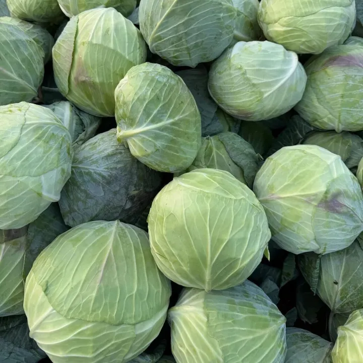 中科软输了！898万元，AI智能化大单