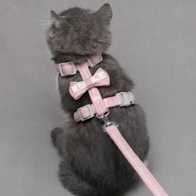 猫咪背带海运到美国HGR6仓库