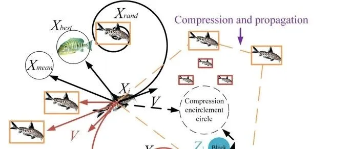 2025年中科院1区最新优化算法——杜鹃鲶鱼优化器，附完整MATLAB代码