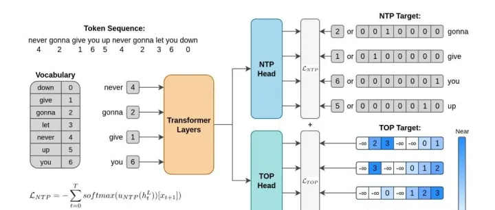 以“排序”替代“预测”：Token Order <em>Prediction</em>（TOP）如何改进语言模型训练