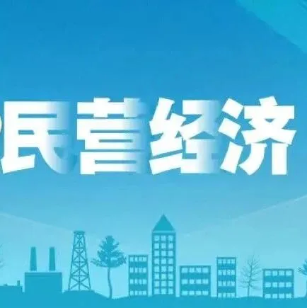 “两个92%”：民营经济如何实现“质”“量”双升？