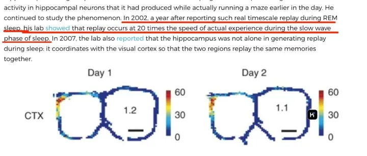 AI时代下，最高效的学习编程的方法