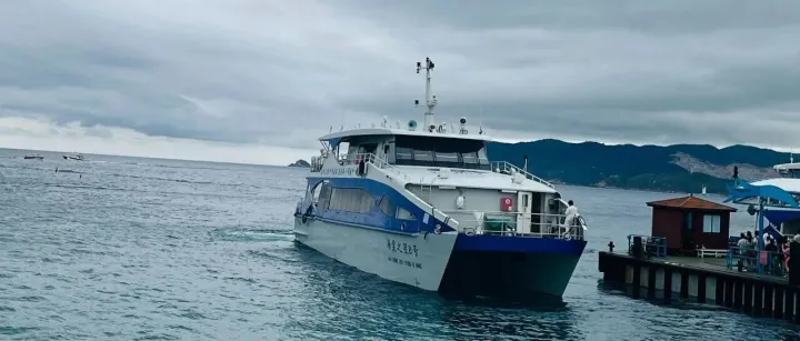 12月海南封关在即：企业如何抉择中国香港、新加坡与海南的业务布局