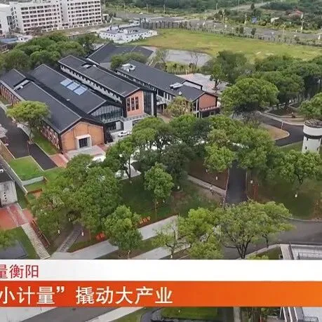 计量<em>衡阳</em> “小计量”撬动大产业