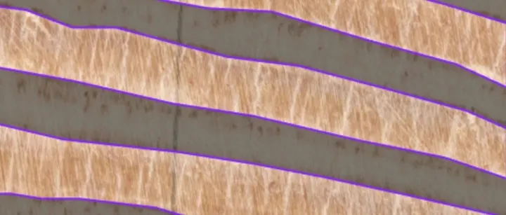 树木年轮分割<em>数据</em>集 目标检测<em>数据</em>集 yolo<em>数据</em>集 青年木材 晚木<em>数据</em>集 分割<em>数据</em>集