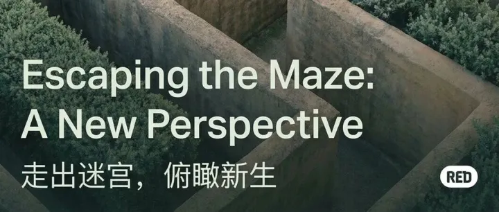 Soho12月第一周总结