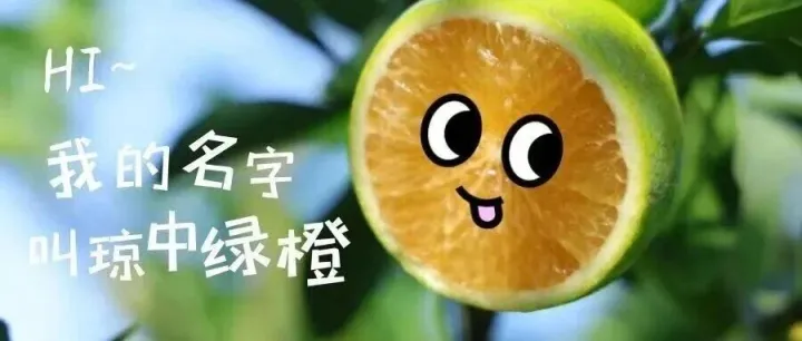 “橙”界C位！2025季琼中绿橙赏味期开启！皮薄爆汁，风味十足，试吃装29.9元起包邮到家！