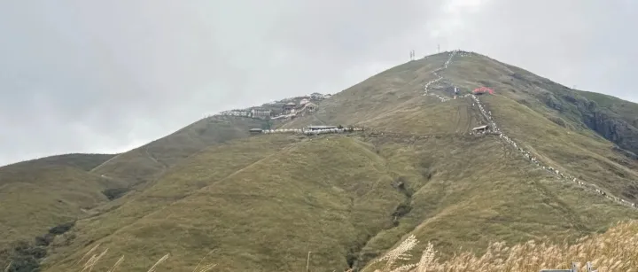 从零开始用Python爬虫采集网络<em>数据</em>（手把手实战<em>教程</em>）