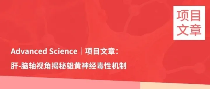 <em>Advanced</em> Science｜项目文章：肝-脑轴视角揭秘雄黄神经毒性机制