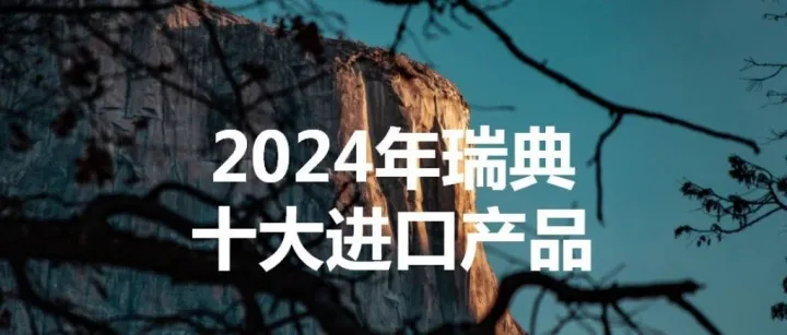 2024年瑞典十大進(jìn)口產(chǎn)品