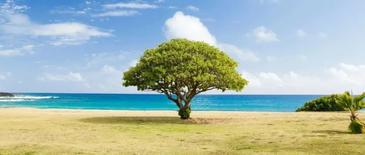 【一周连连看】多个APP深挖“AI+教育”