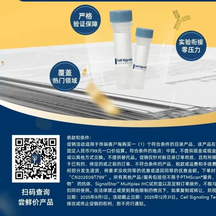 告别神经科学研究“兔抗困境”——CST嵌合抗体助力高效多重免疫荧光分析