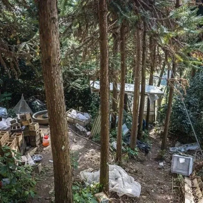 “成本500<em>售价</em>5000”