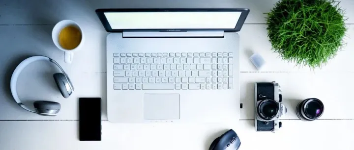 竹草证注册登记号在哪里查？