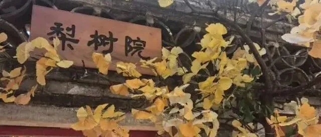 11.15 周六｜北京潭柘寺单身自驾局——遇见同频的灵魂，在金黄秋色里