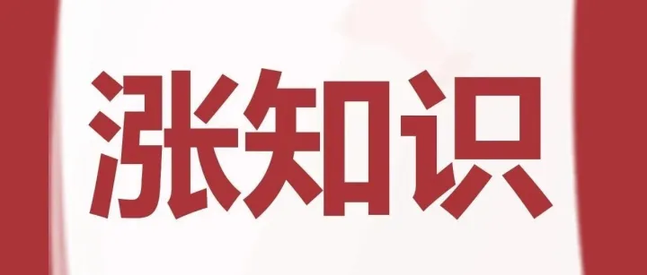 新能源汽车出口退税全解析：税率、申请流程及注意要点