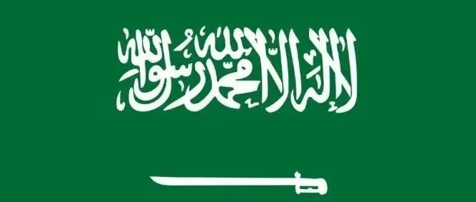 沙特工作签 + 居住证新规：这些红线碰不得，违者永久禁入！