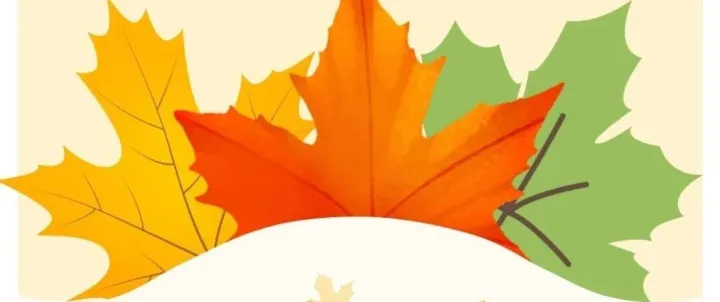 世界保健日：解鎖大灣區人的養生「密碼」！