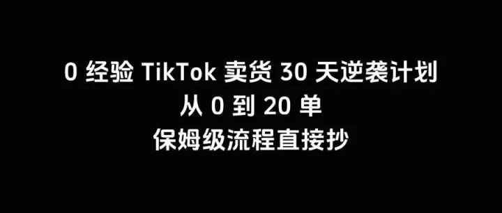 0 经验 TikTok 卖货 30 天逆袭计划！从 0 到 20 单，保姆级流程直接抄