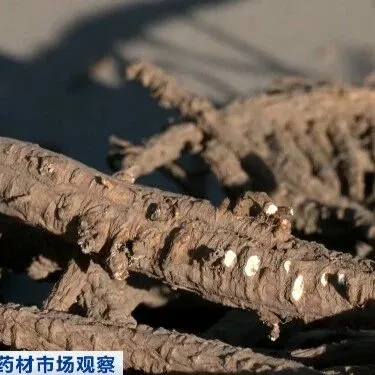 订购一空！这些产品成香饽饽！