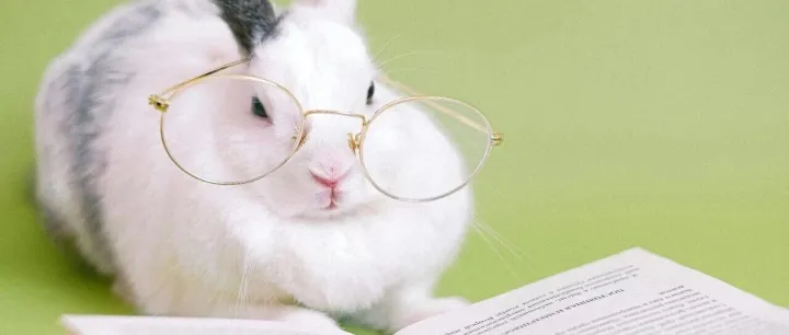 全域后，内容素材变玄学了？那是你还没用上AI分析……