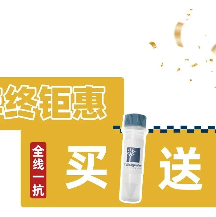 CST年终钜惠，全线一抗买大送小