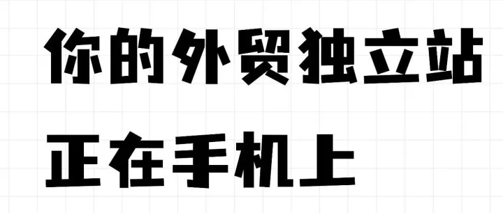 你的独立站，正在手机屏幕上流失订单吗？