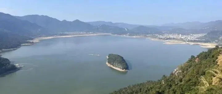 企业家呼吁消除无序竞争