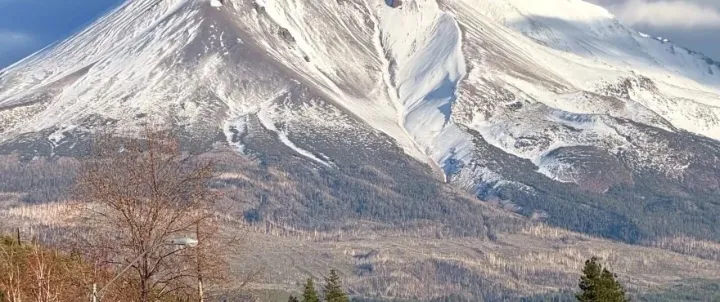 美国空运双清到门服务 | 一站式门到门物流解决方案 (DAP/DDU/DDP)