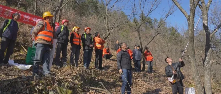 柞水：冬闲培训“接地气”  板栗产业“有底气”