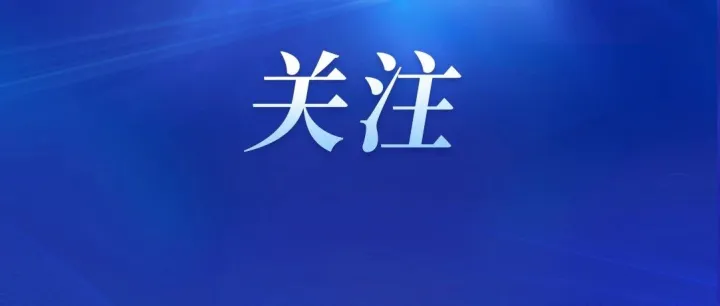 抄袭作品，拿了一等奖