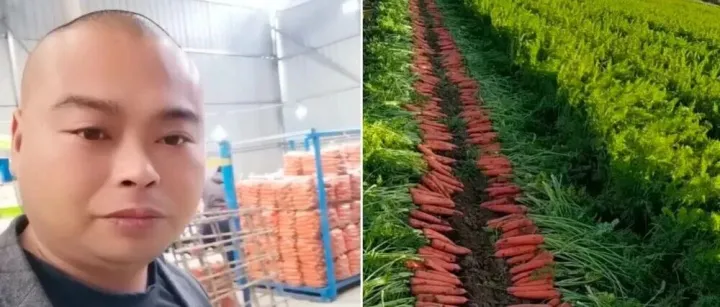 曾是街头菜贩，如今“掌舵”百万亩基地，河南大哥20年逆袭，年销3000万斤胡萝卜！