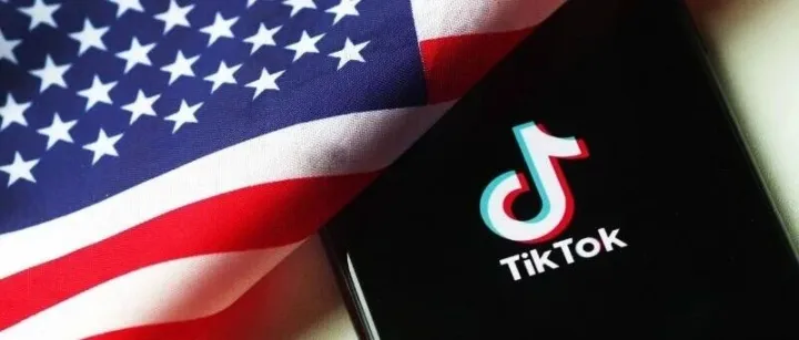 一夜狂销百万美金！中国卖家在TikTok黑五大促杀疯了