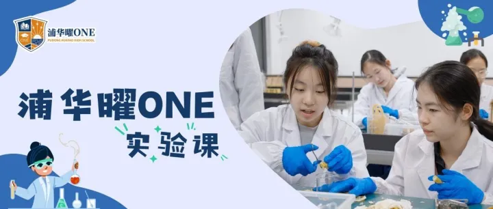 浦华曜ONE实验课｜当科学遇见魔法时刻